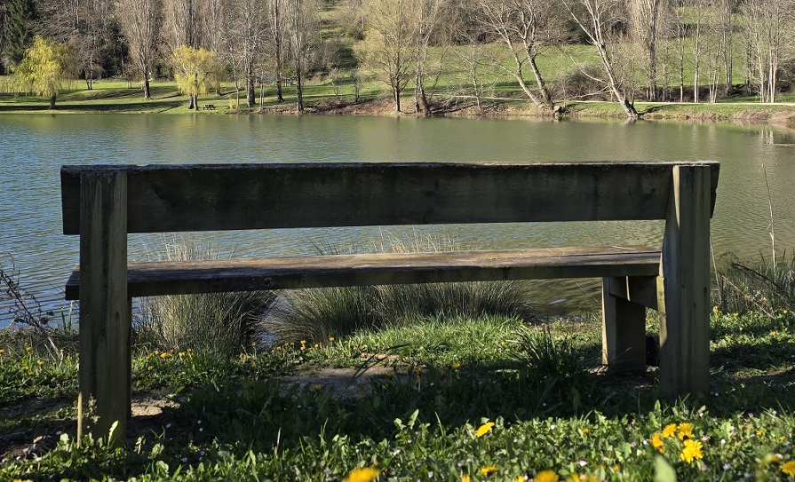 Sitzbank in der Natur am See
